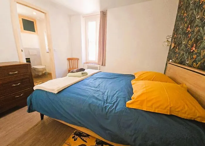 2eme Etage Centre Clermont-fd 公寓 *